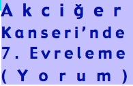 Yeni evreleme (pdf)