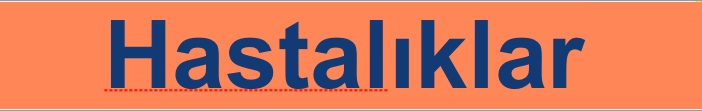 Hastaliklar